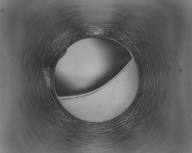 X0000067351442200603310848
