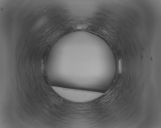 X0000067351443200603310848