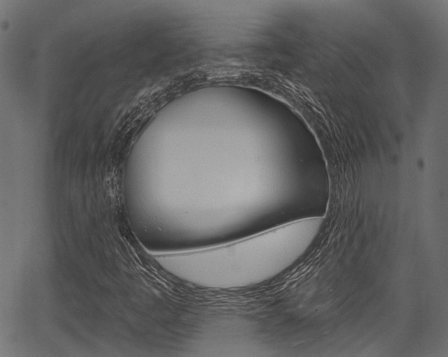 X0000067351445200603310848