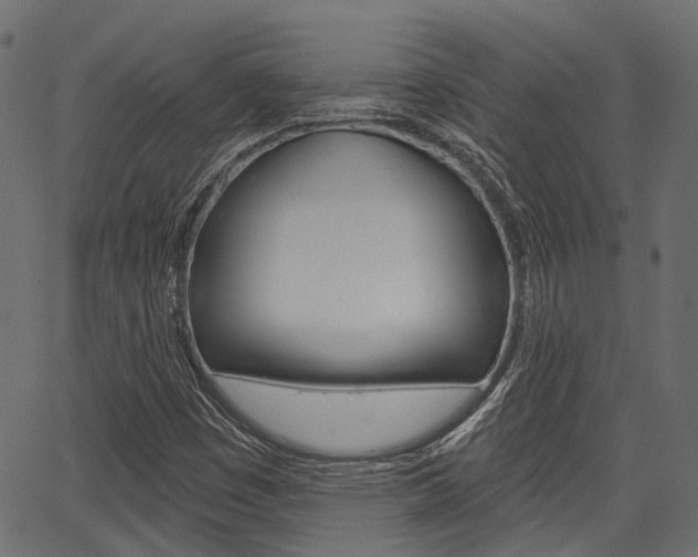 X0000067351449200603310848