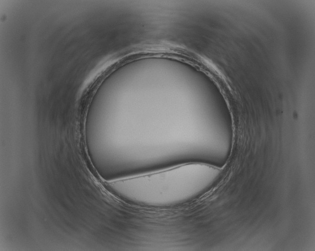 X0000067351456200603310848