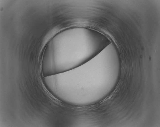 X0000067351467200603310848