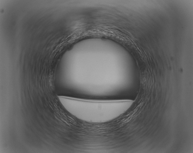 X0000067351490200603310846