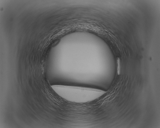 X0000067351491200603310846