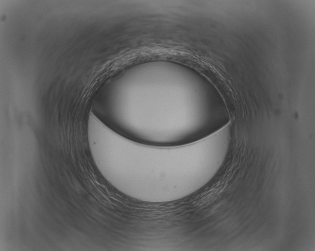 X0000067351492200603310846