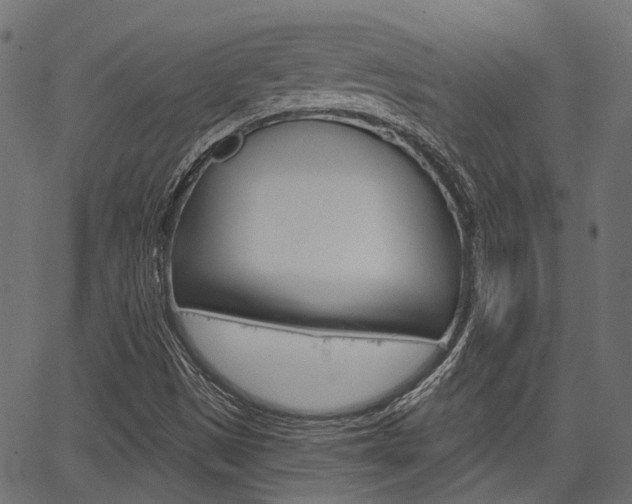 X0000067351497200603310847