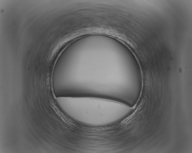 X0000067351499200603310847