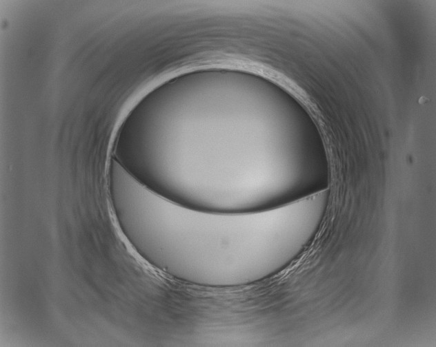 X0000067351536200603310847