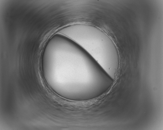 X0000067350001200603311204