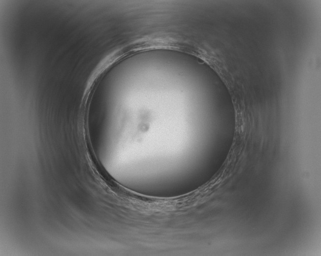 X0000067350004200603311204