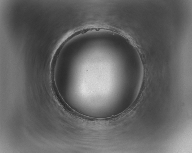 X0000067350008200603311204