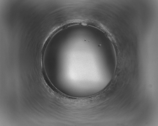 X0000067350011200603311204
