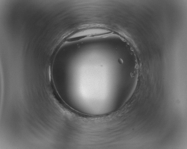 X0000067350013200603311204