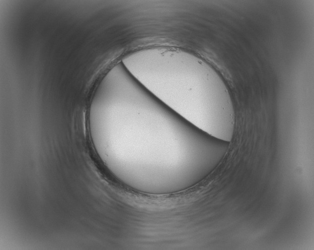 X0000067350014200603311204