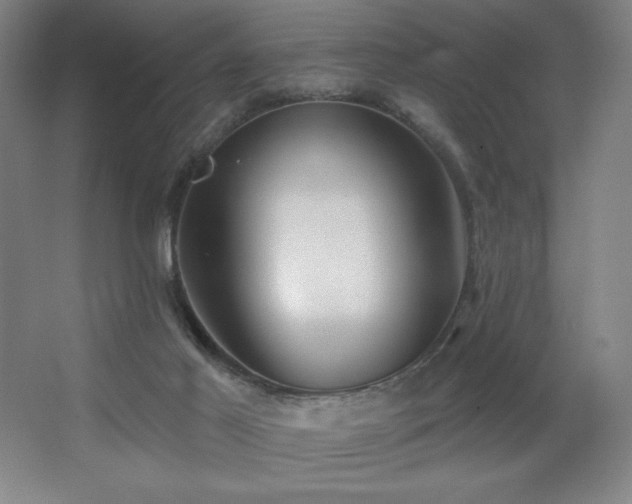 X0000067350021200603311204