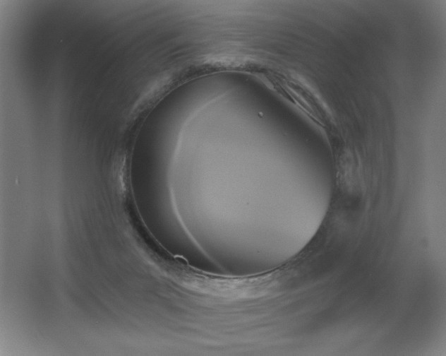 X0000067350023200603311204