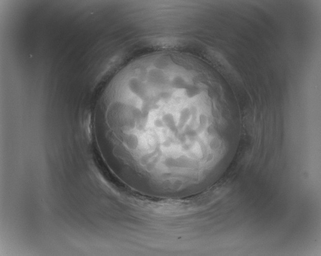 X0000067350024200603311204