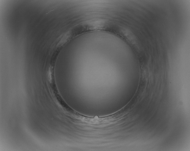 X0000067350026200603311204