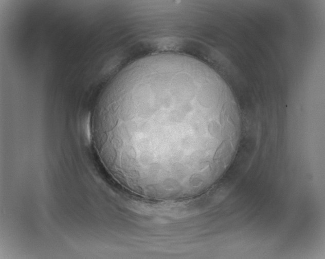 X0000067350028200603311204