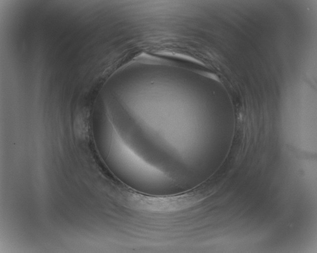 X0000067350030200603311204