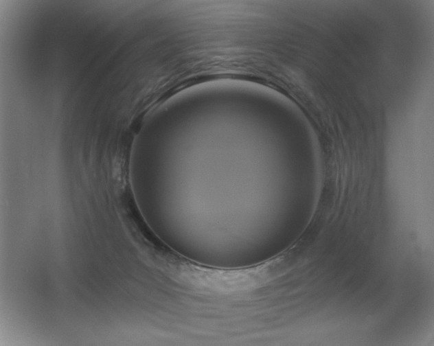 X0000067350031200603311204