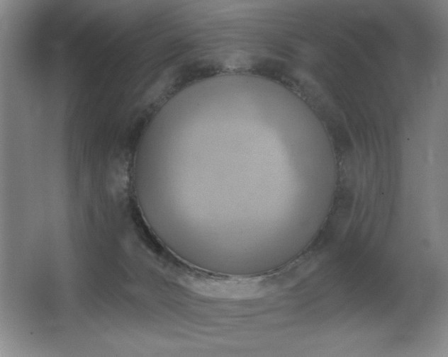 X0000067350032200603311204
