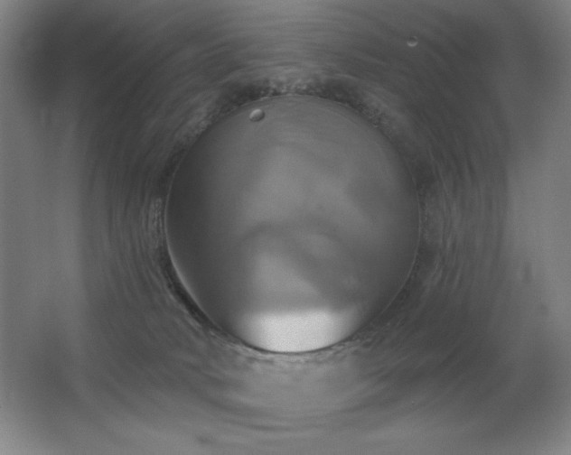 X0000067350034200603311204