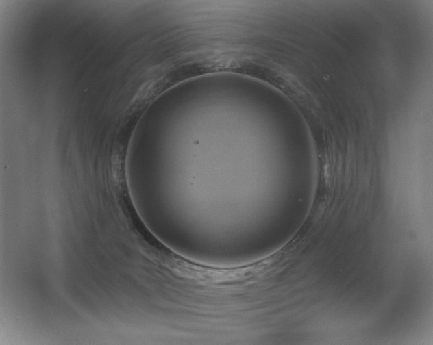 X0000067350035200603311204