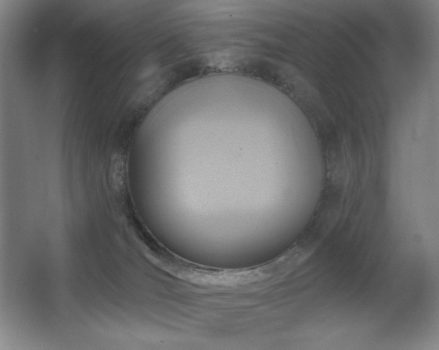 X0000067350036200603311204