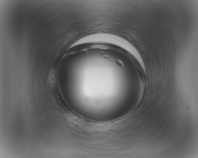 X0000067350037200603311204