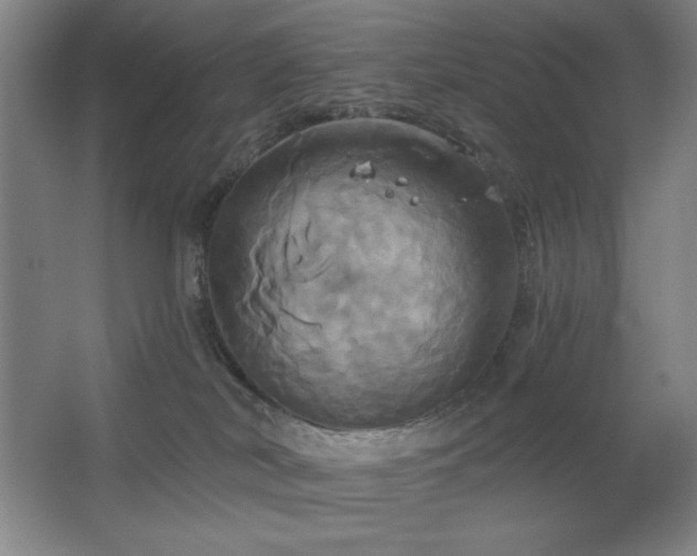 X0000067350038200603311204