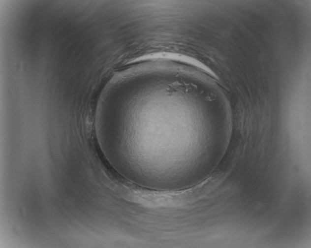 X0000067350040200603311204