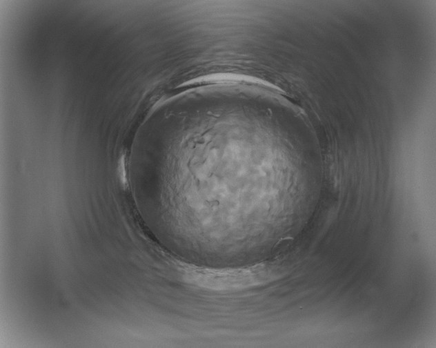 X0000067350042200603311203