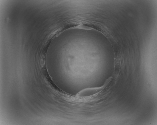 X0000067350043200603311203