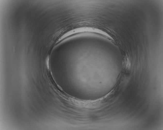 X0000067350047200603311203