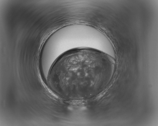 X0000067350049200603311203