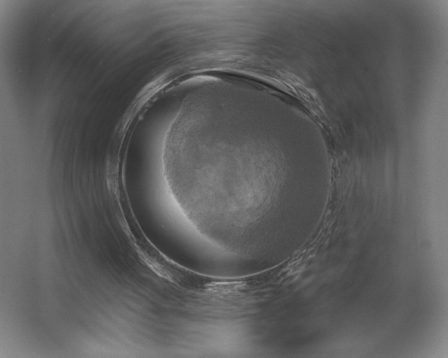 X0000067350051200603311203