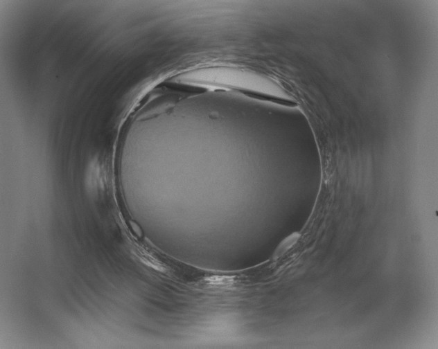 X0000067350052200603311203