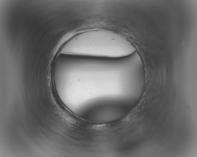X0000067350054200603311203