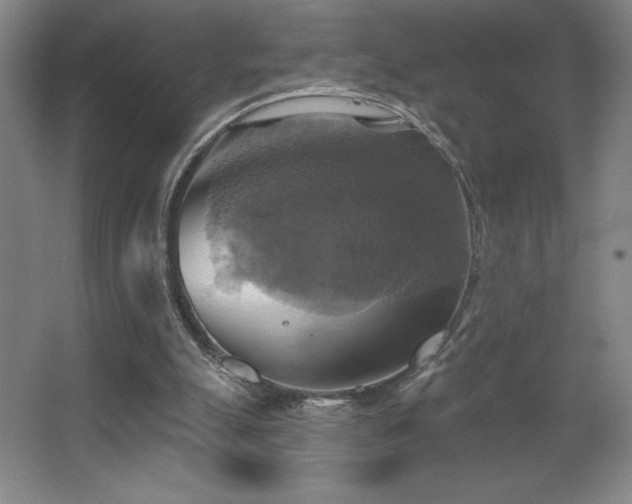 X0000067350055200603311203