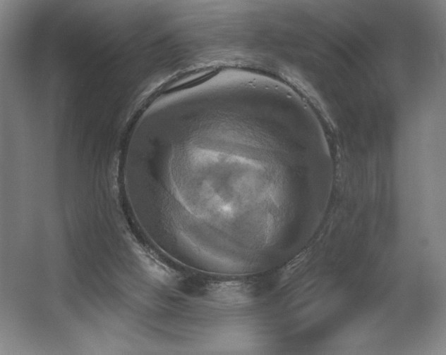 X0000067350058200603311203