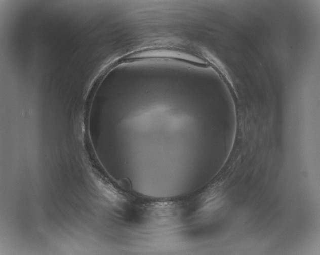 X0000067350059200603311203
