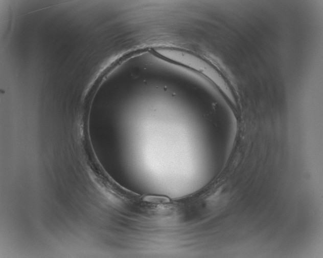 X0000067350060200603311203
