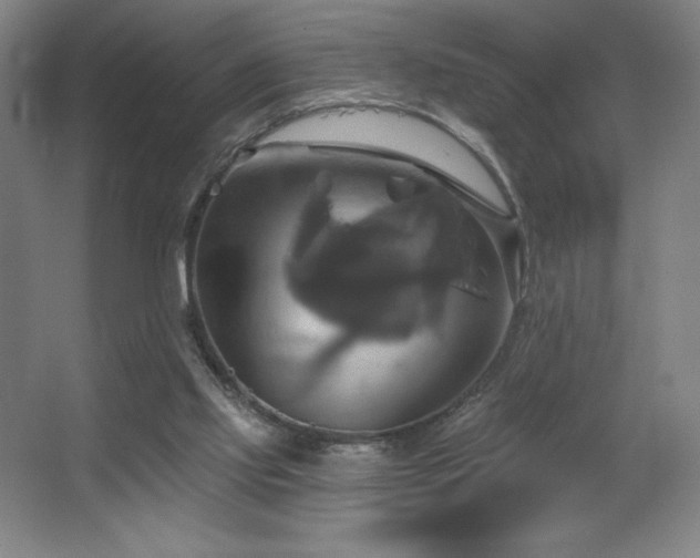 X0000067350061200603311203
