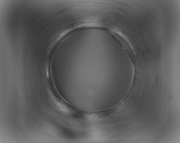X0000067350062200603311203