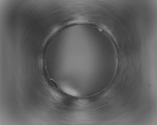 X0000067350063200603311203