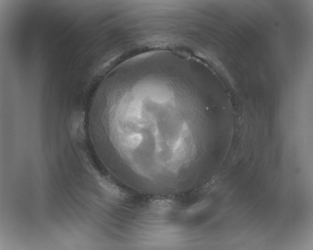 X0000067350066200603311203