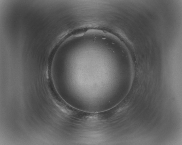 X0000067350068200603311203