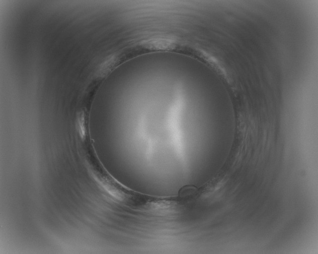 X0000067350069200603311203