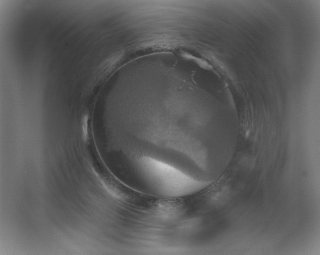 X0000067350070200603311203